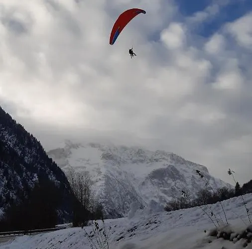 Vénosc-les 2 Alpes , Rez De Jardin Appartamento Vénosc