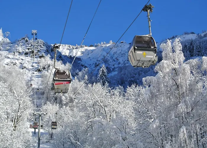 Appartamento Vénosc-les 2 Alpes , Rez De Jardin