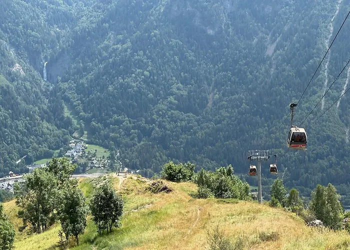 Vénosc-les 2 Alpes , Rez De Jardin Vénosc